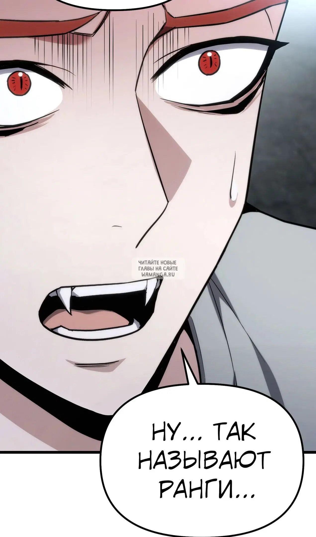 Page 111.000