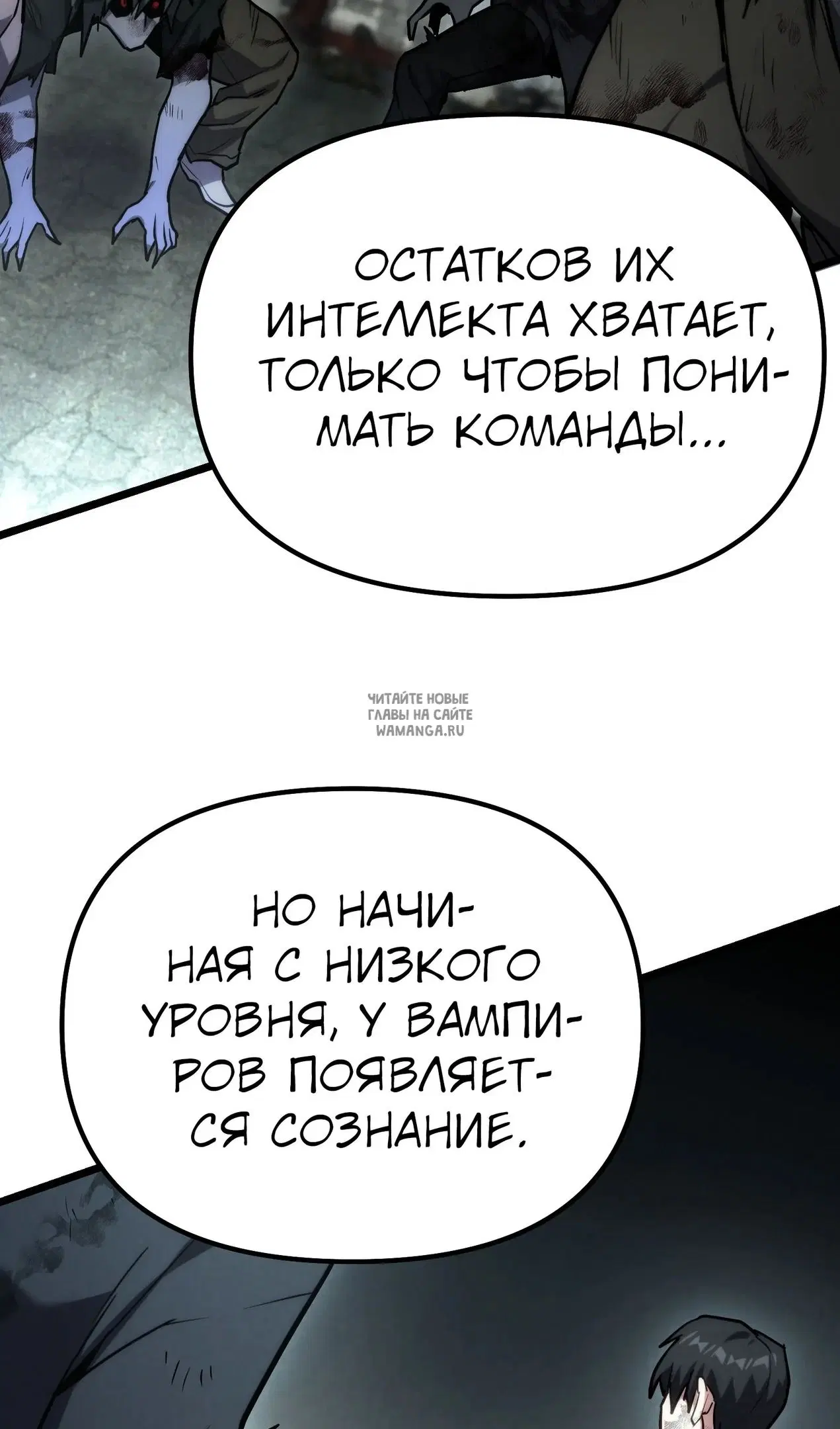Page 113.000