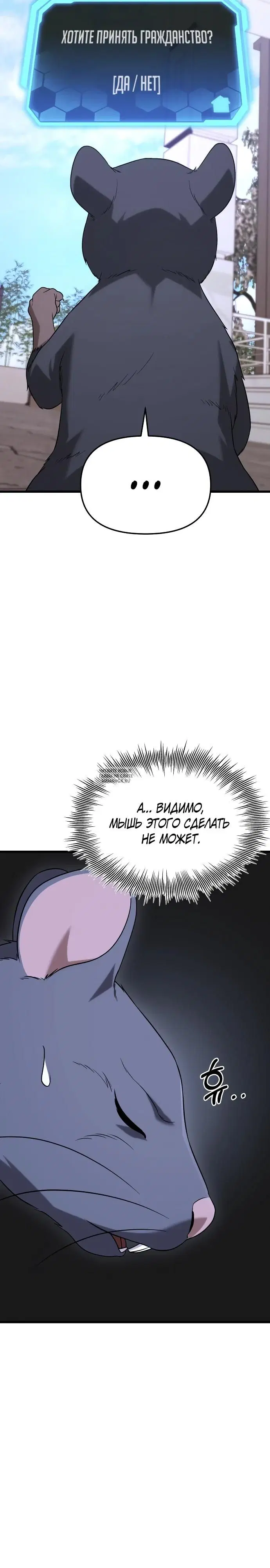 Page 31.000