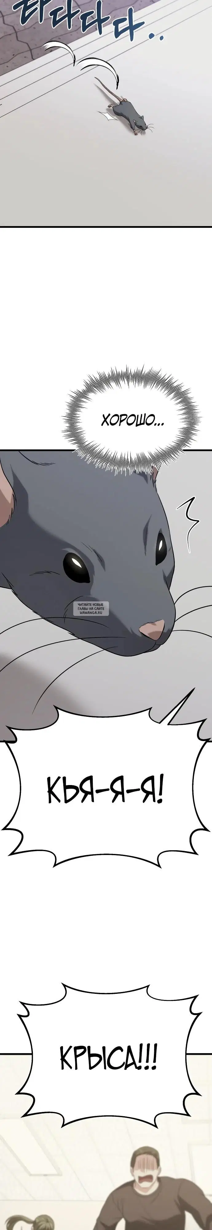 Page 33.000