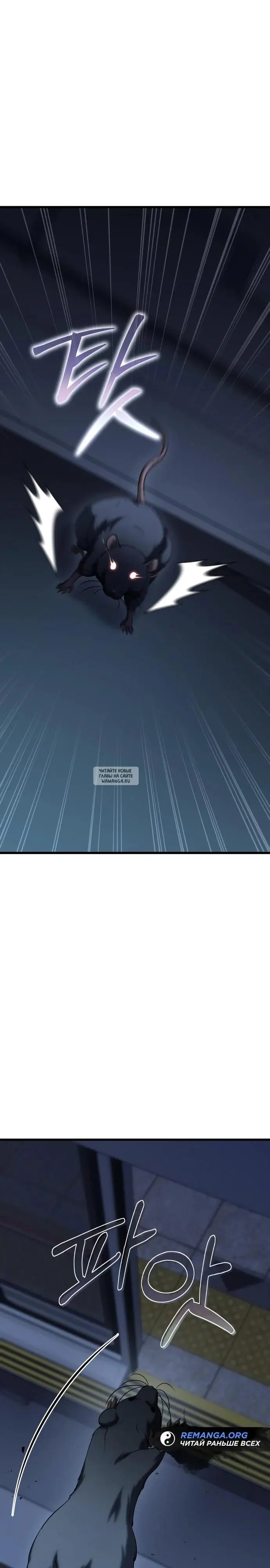 Page 40.000