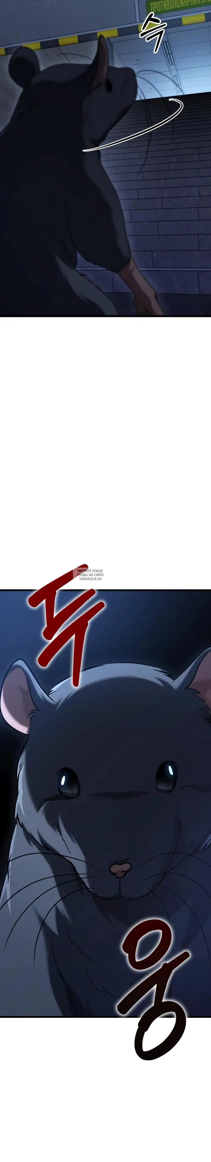 Page 42.000