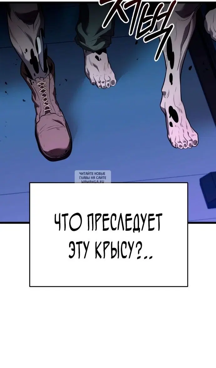 Page 55.000