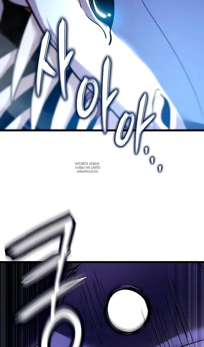Page 81.000