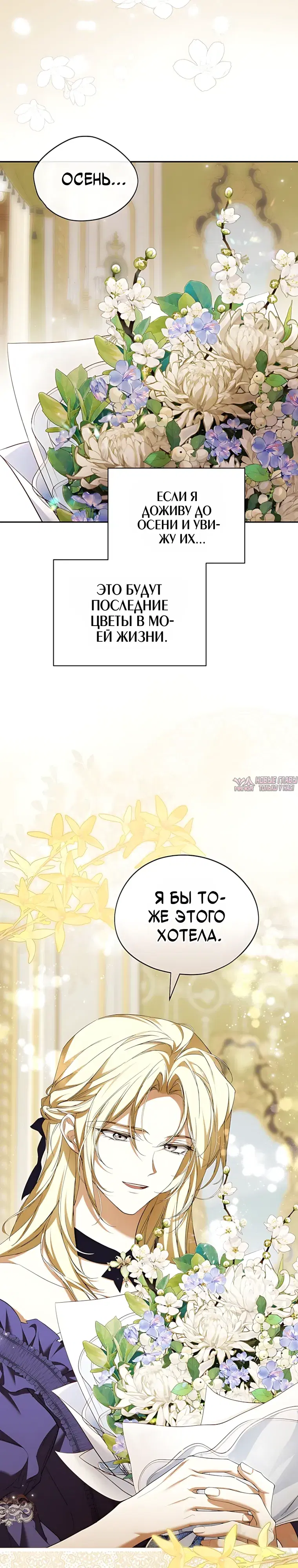 Page 7.000000000