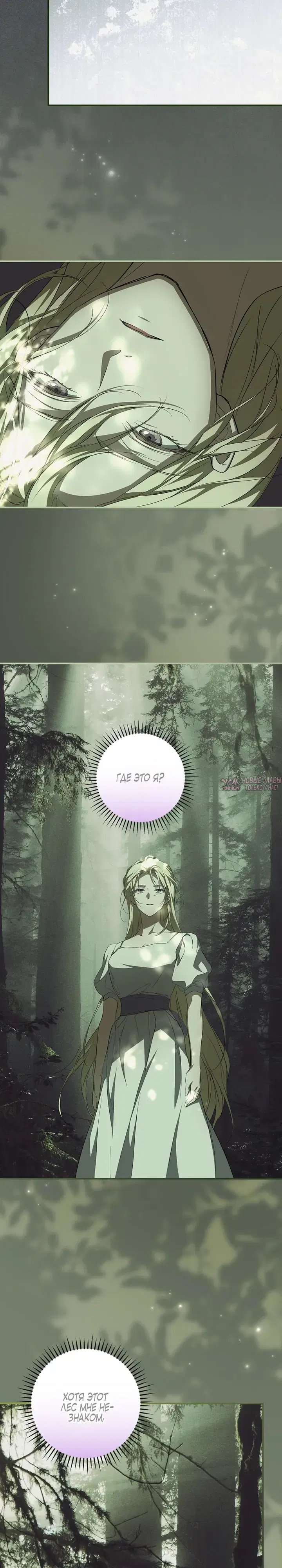 Page 17.000000000