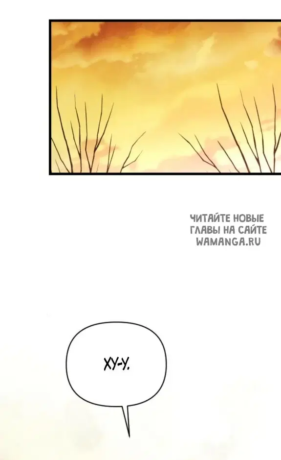Page 41.000