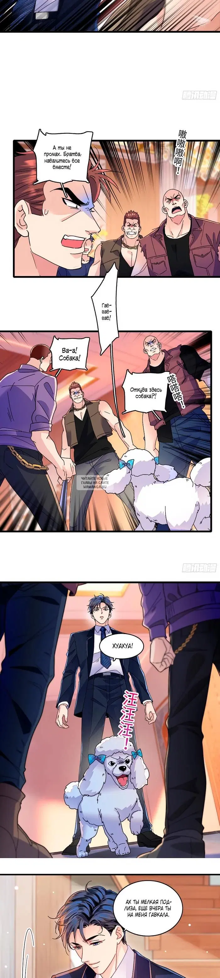 Page 12.000