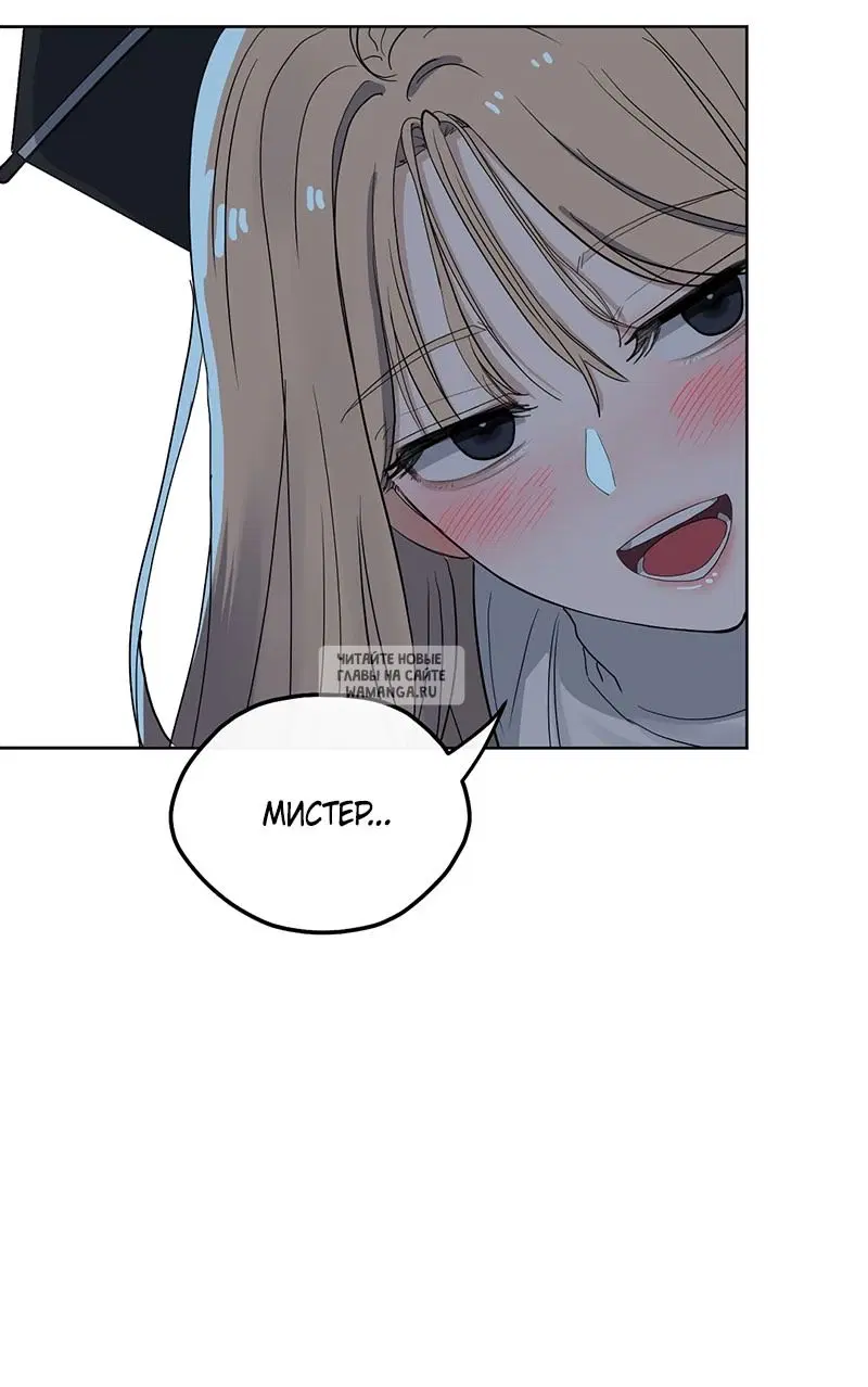 Page 28.000