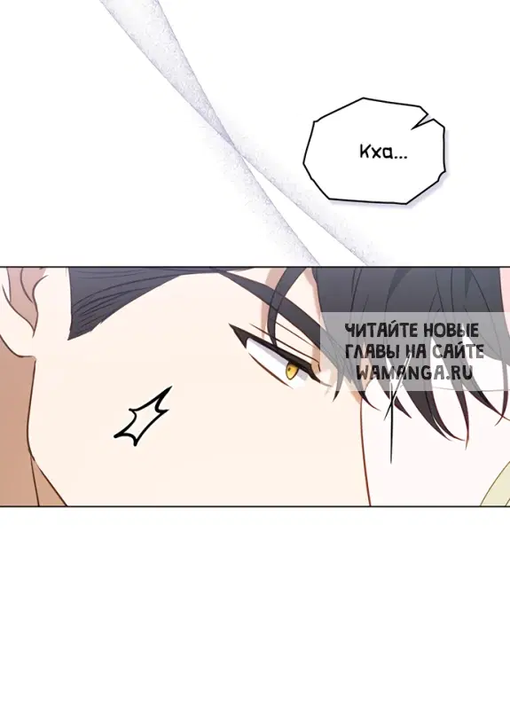 Page 36.000