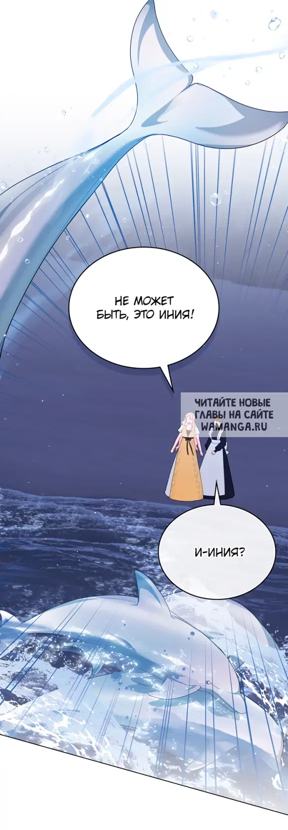 Page 41.000