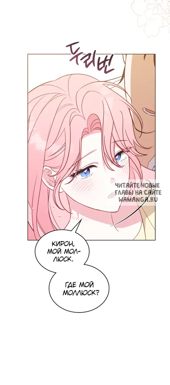 Page 41.000