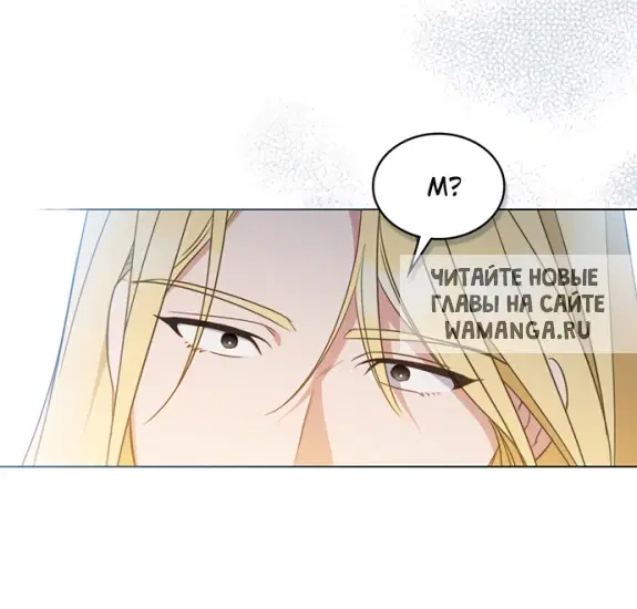 Page 43.000