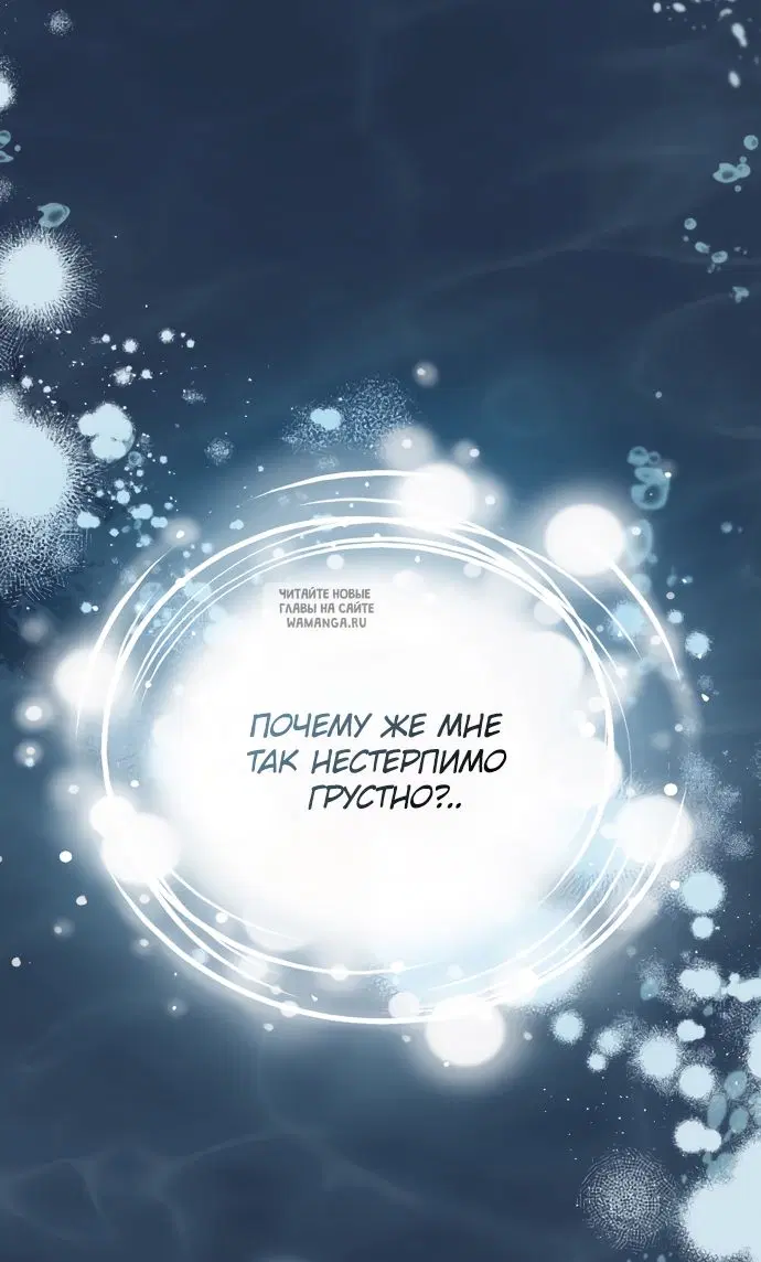 Page 51.000