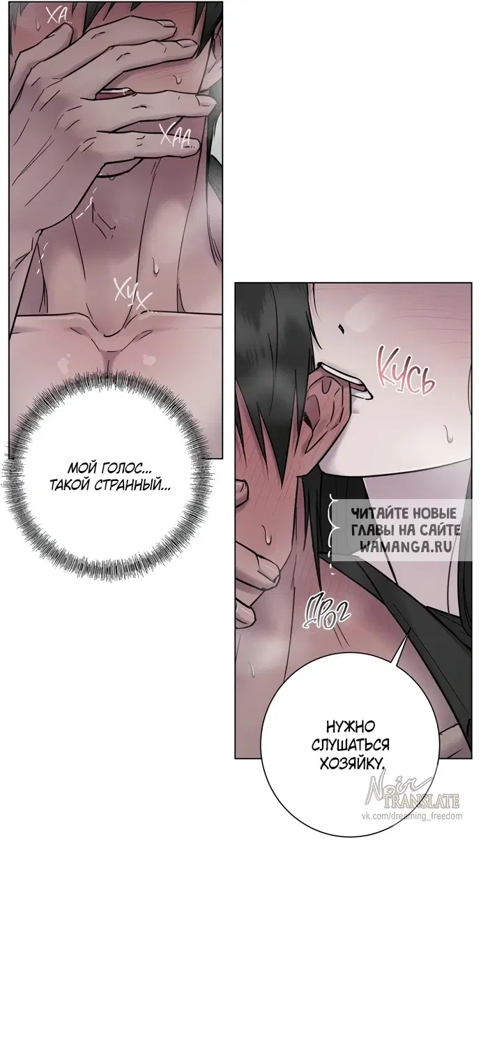Page 39.000