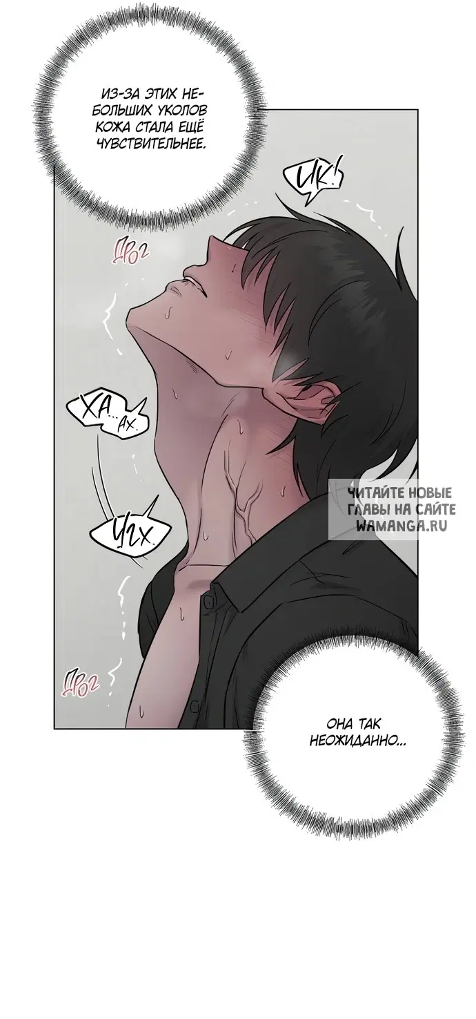 Page 54.000
