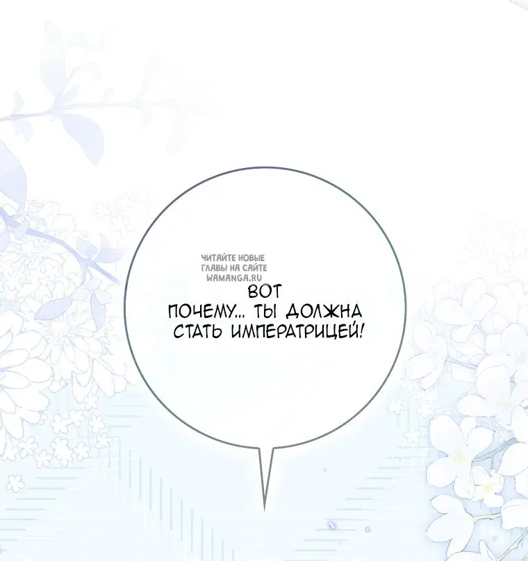Page 50.000