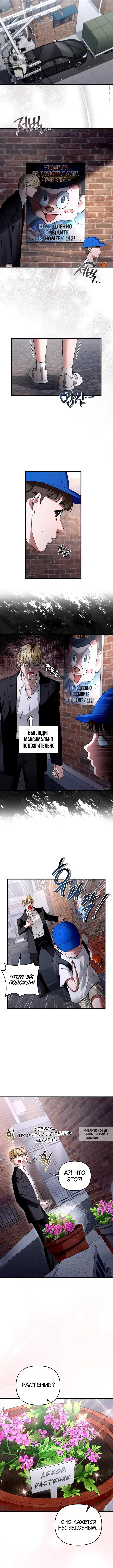 Page 6.000