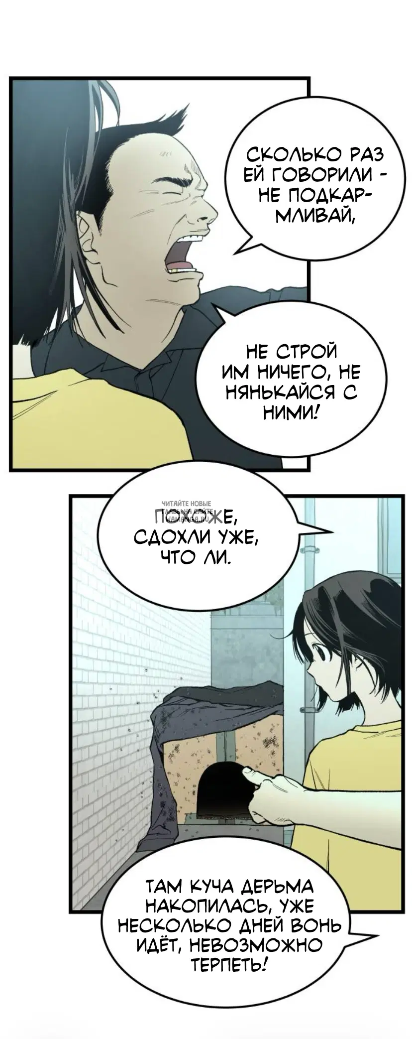 Page 10.000