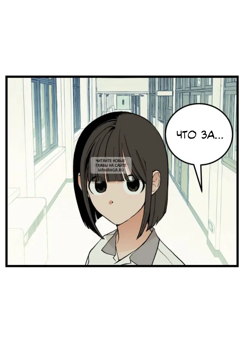 Page 32.000