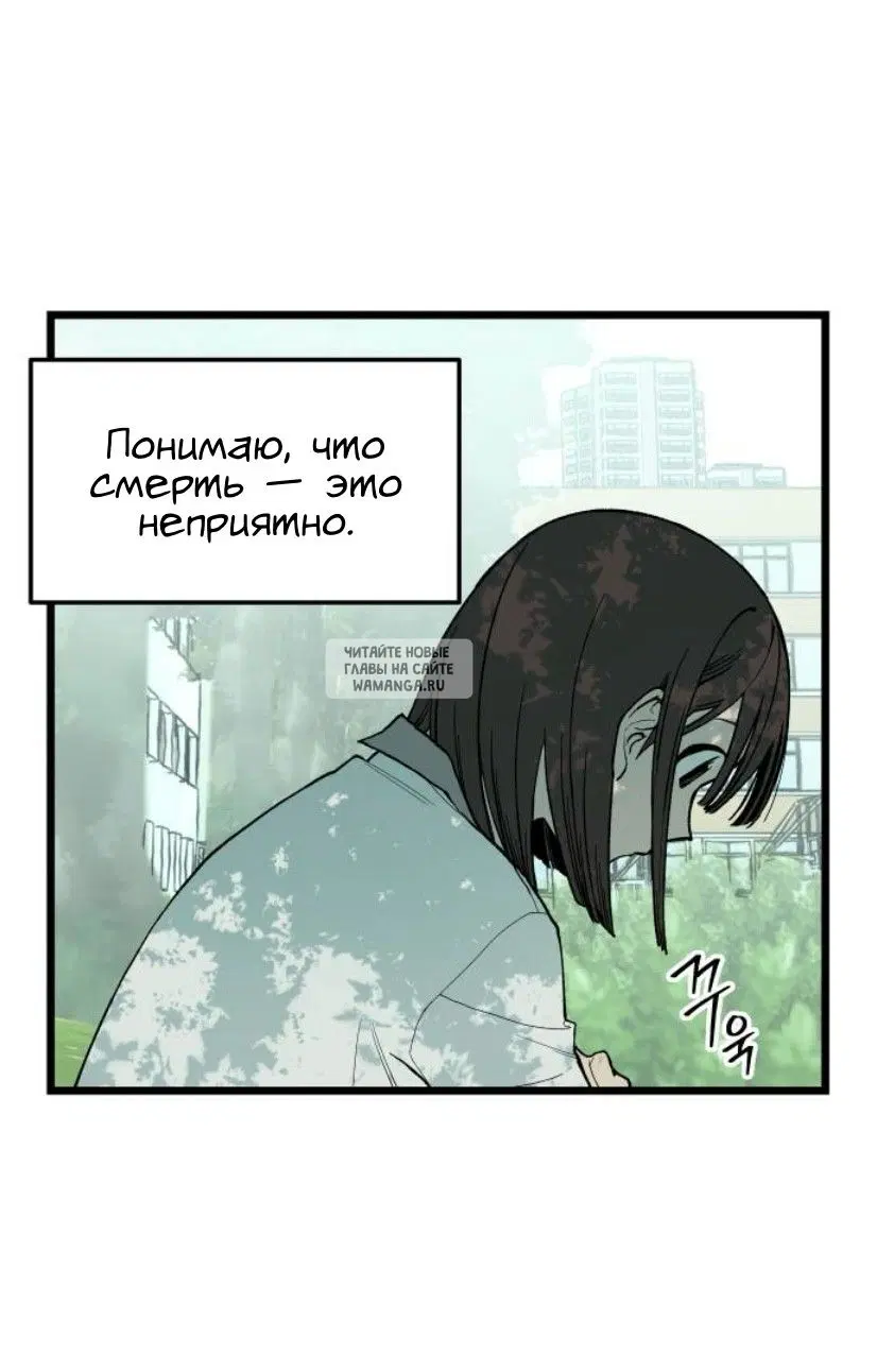 Page 41.000