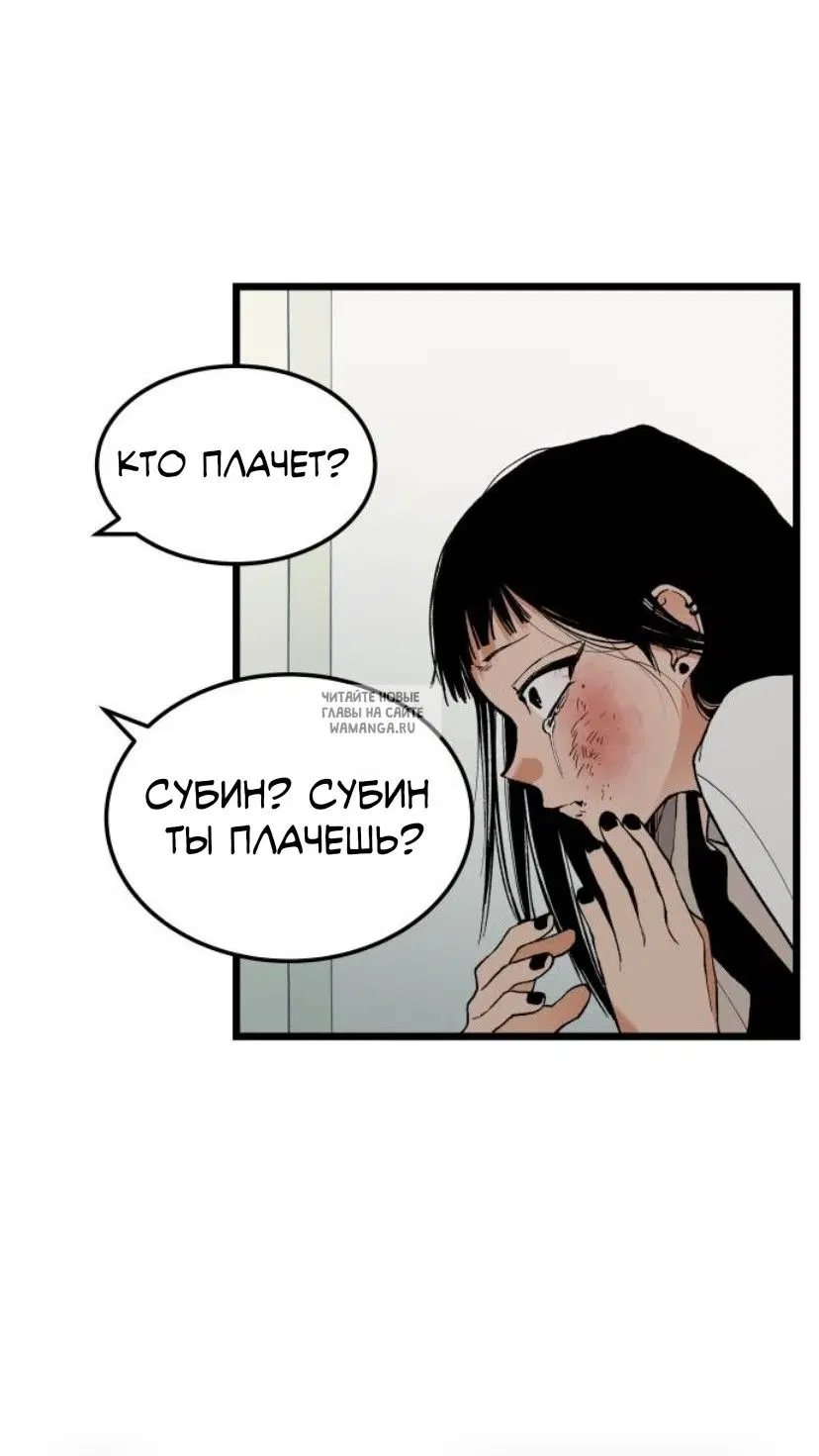 Page 43.000