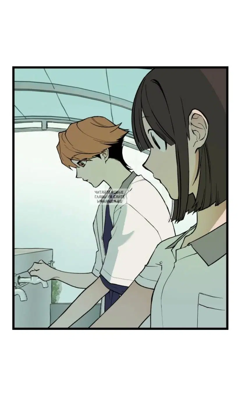 Page 55.000