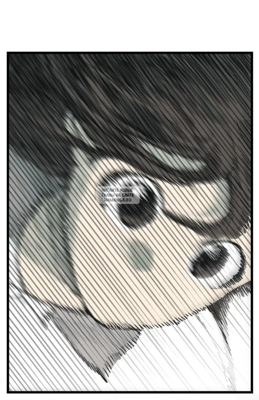 Page 81.000