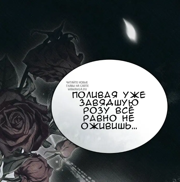 Page 36.000