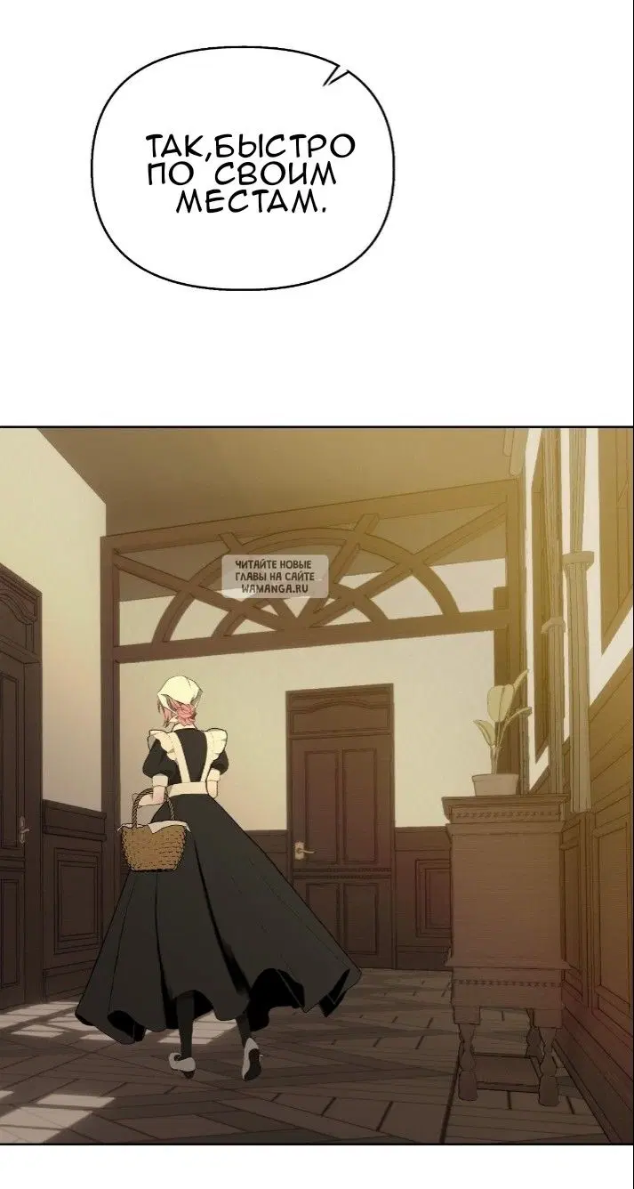 Page 49.000
