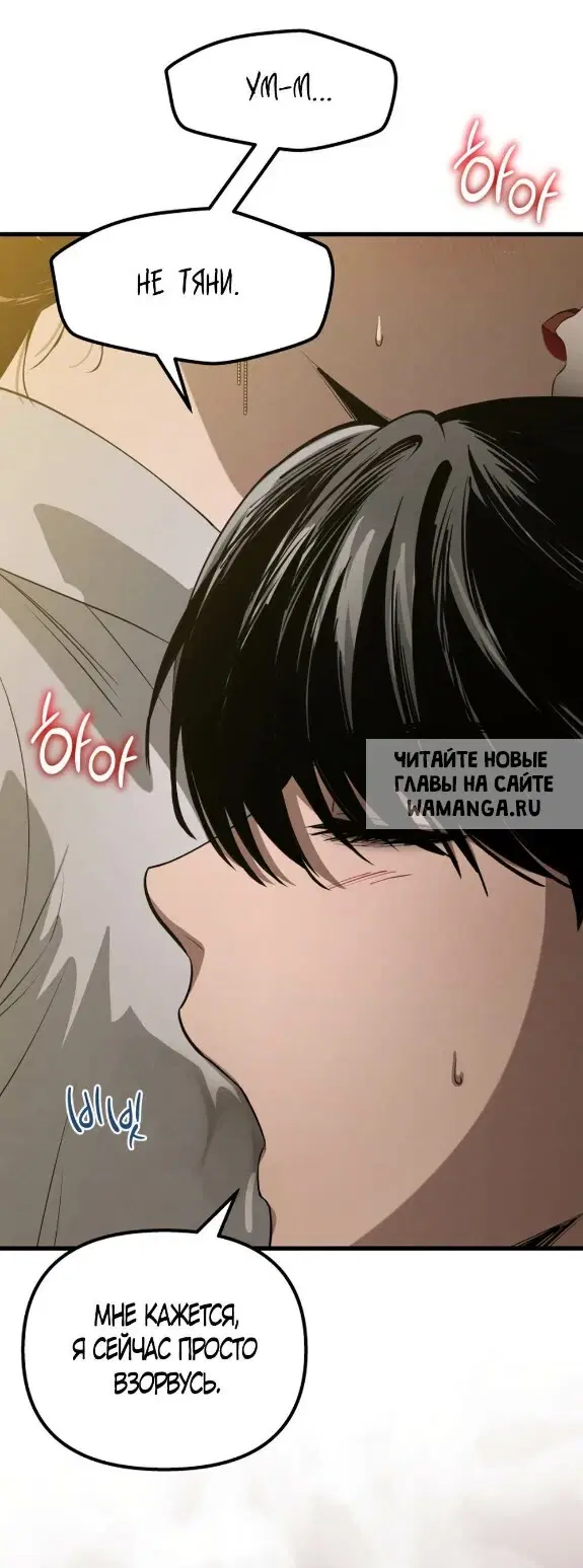 Page 41.000