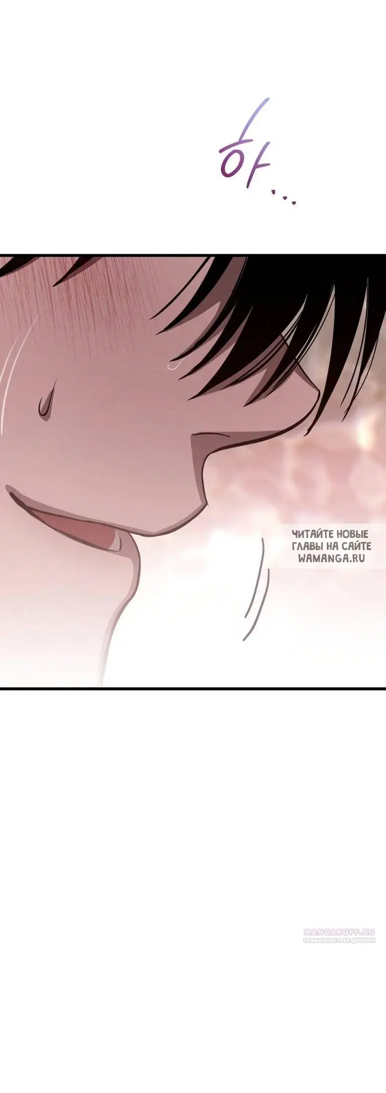 Page 41.000