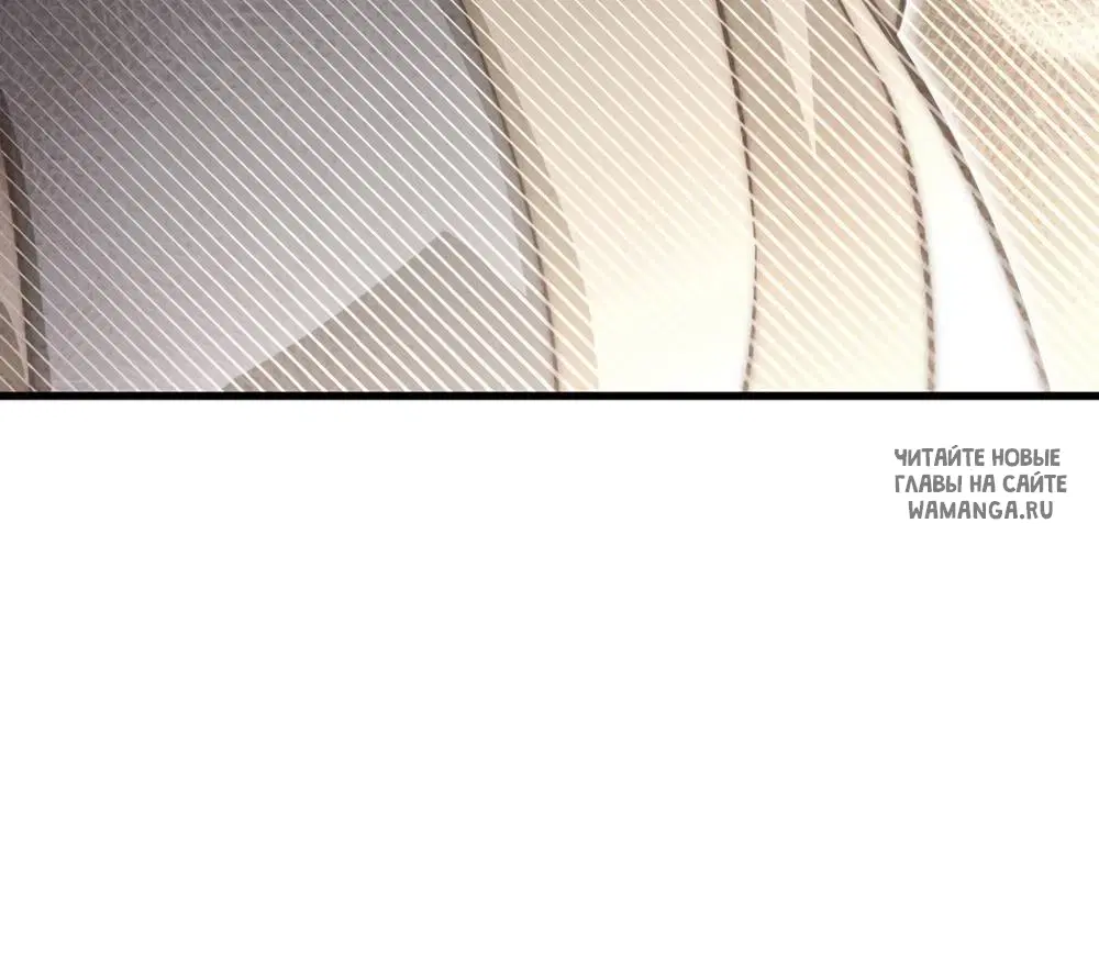 Page 42.000