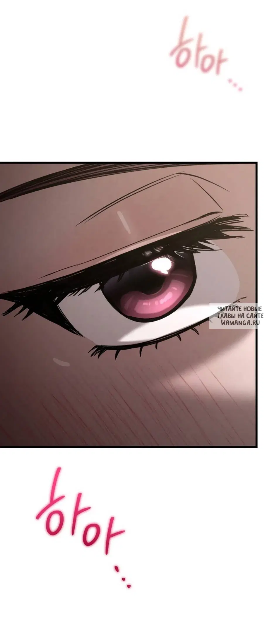 Page 43.000