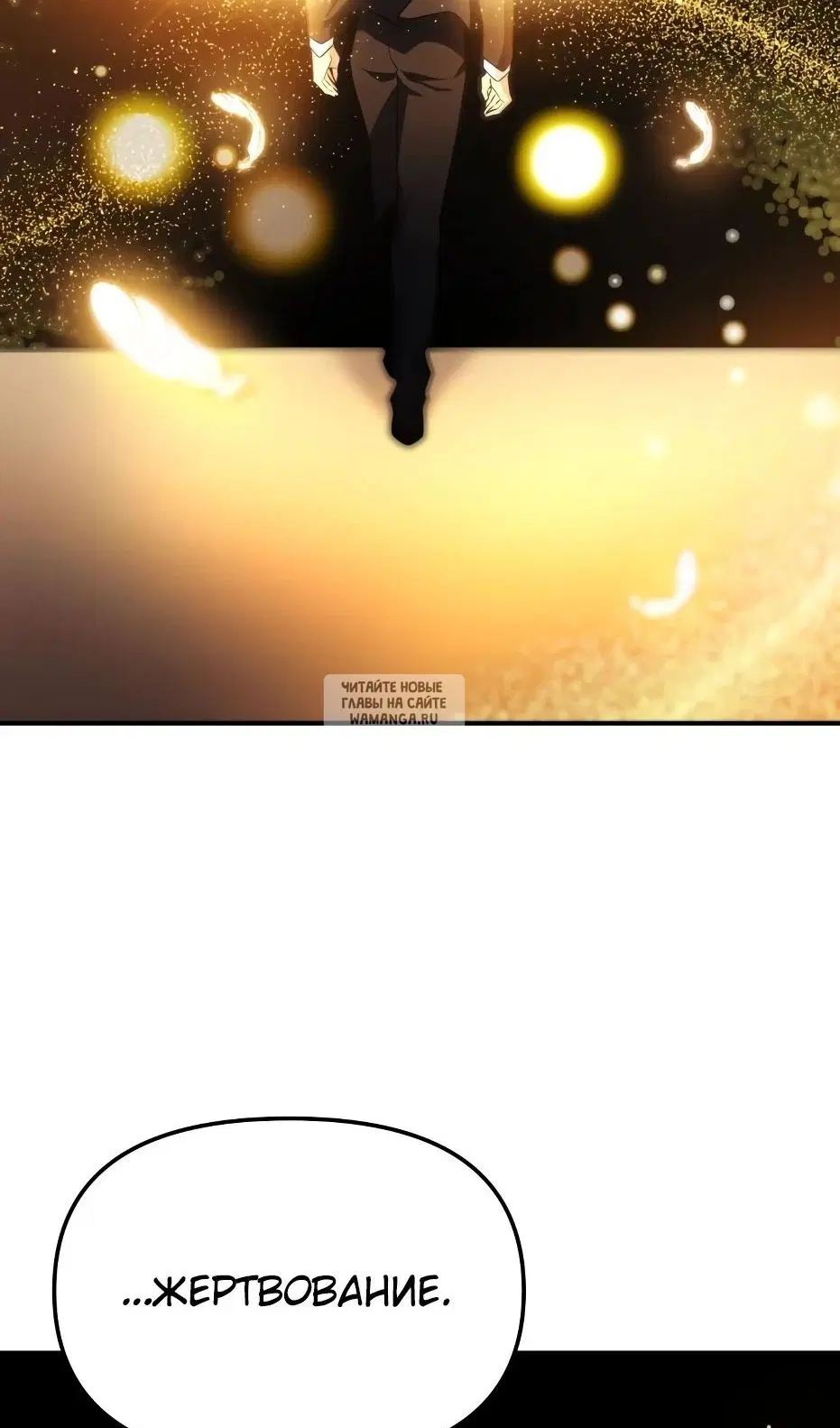 Page 43.000