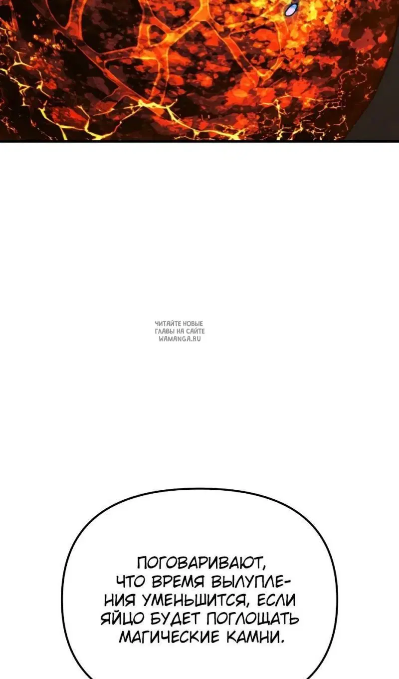 Page 51.000