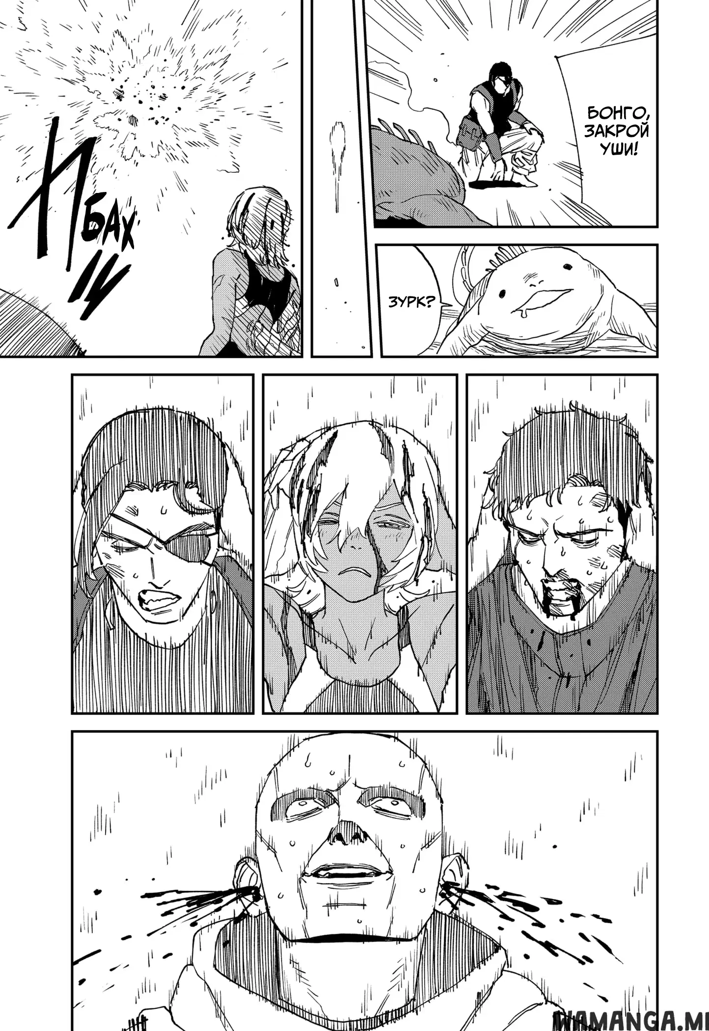 Page 17.000