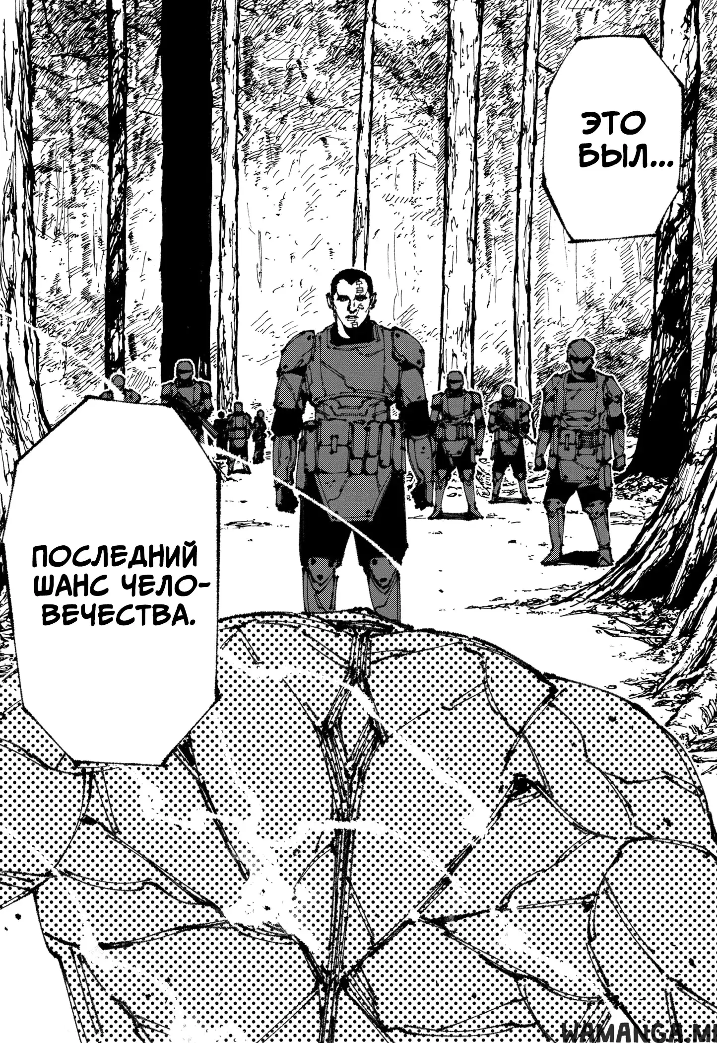 Page 31.000