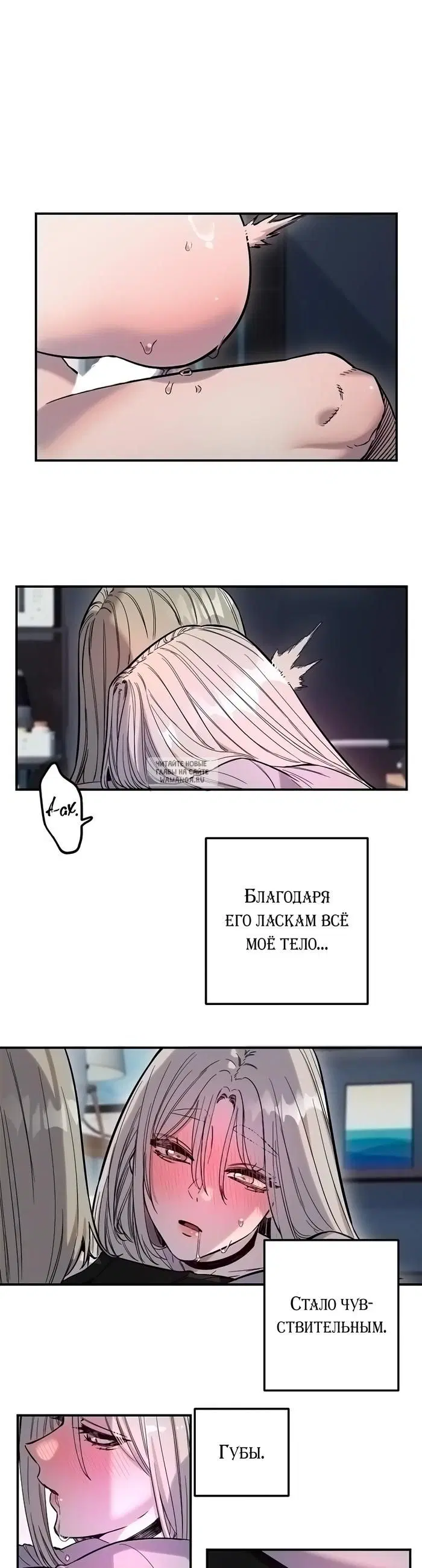 Page 3.000