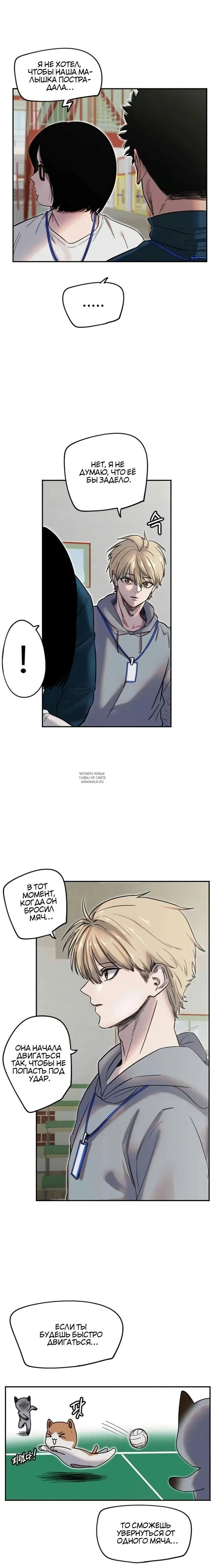 Page 5.000