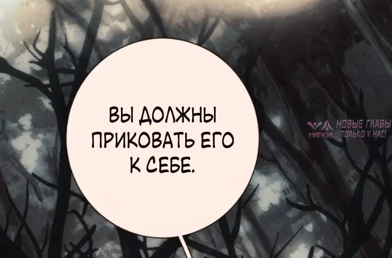 Page 74.000000000