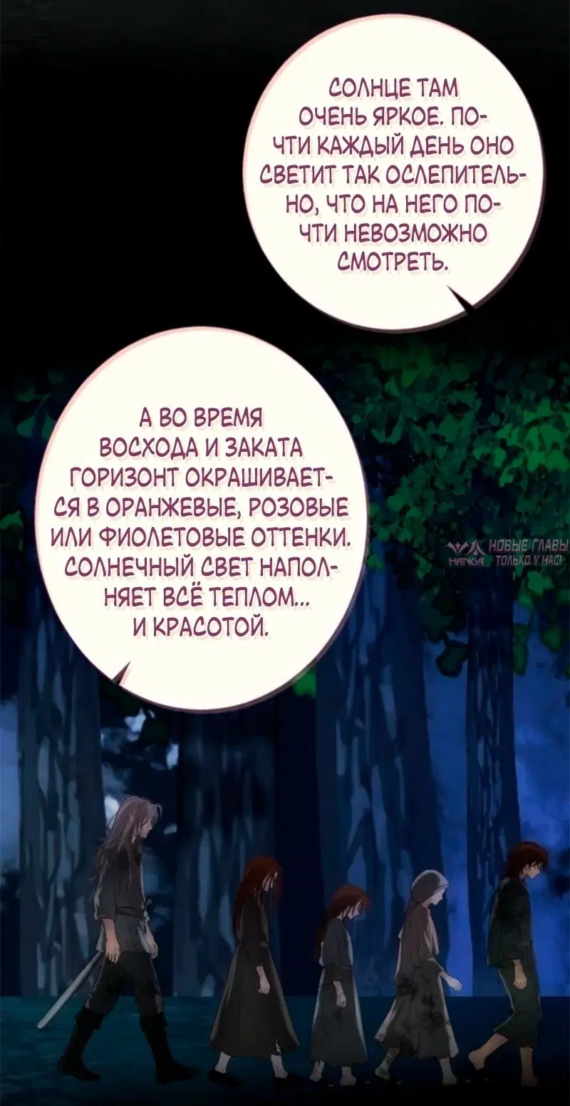 Page 81.000