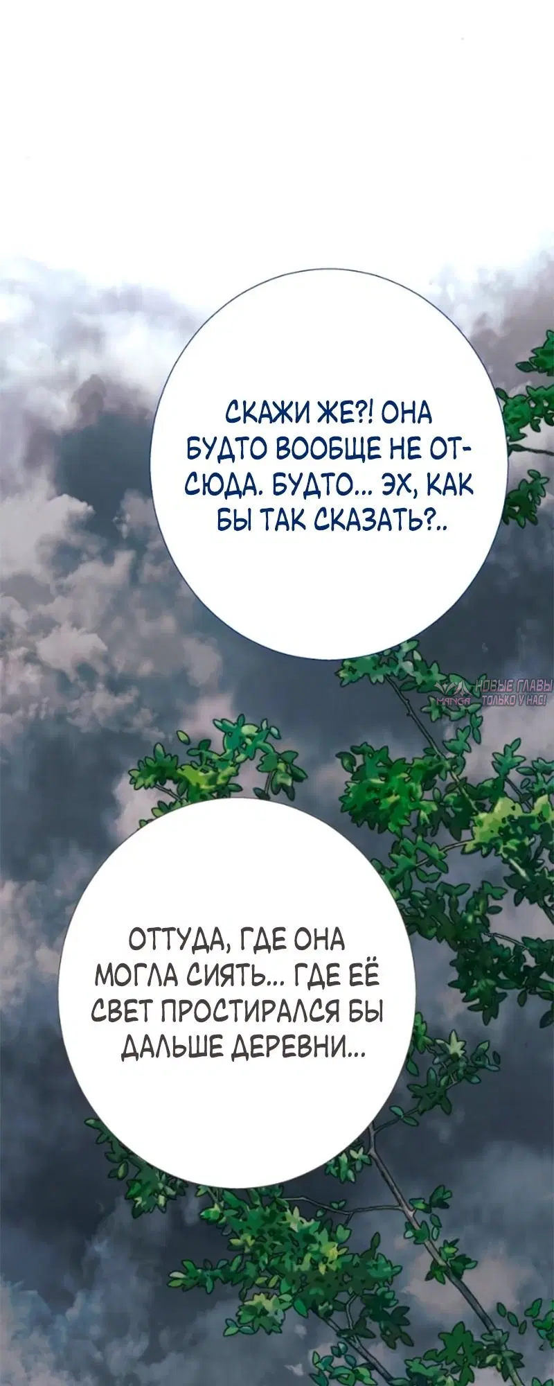 Page 36.000