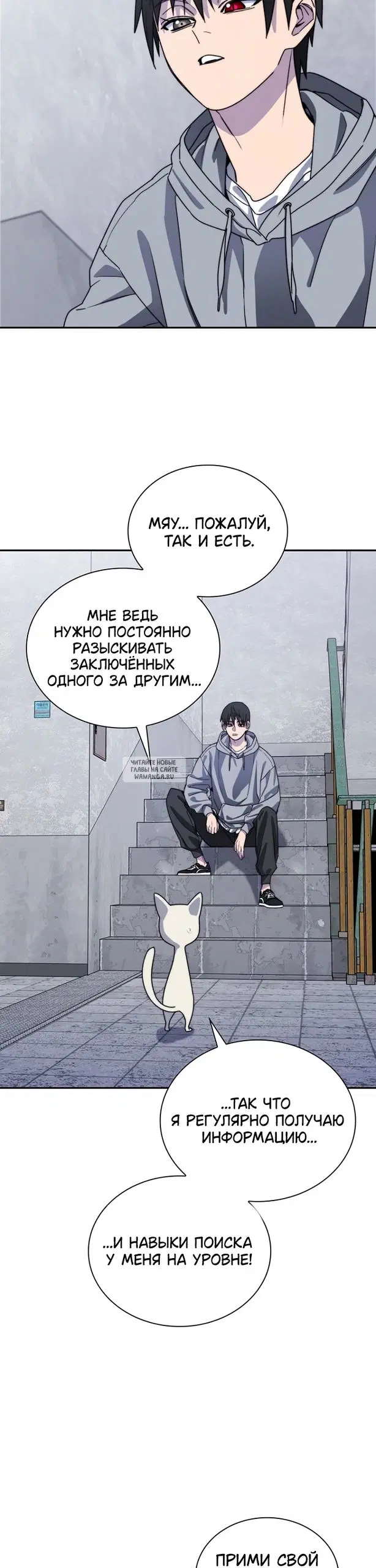 Page 31.000