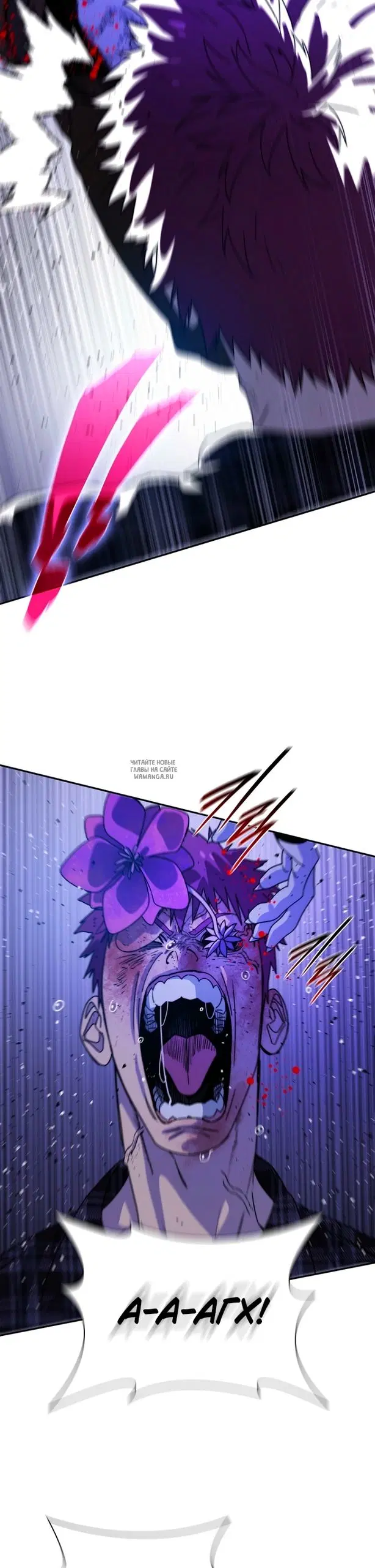 Page 31.000
