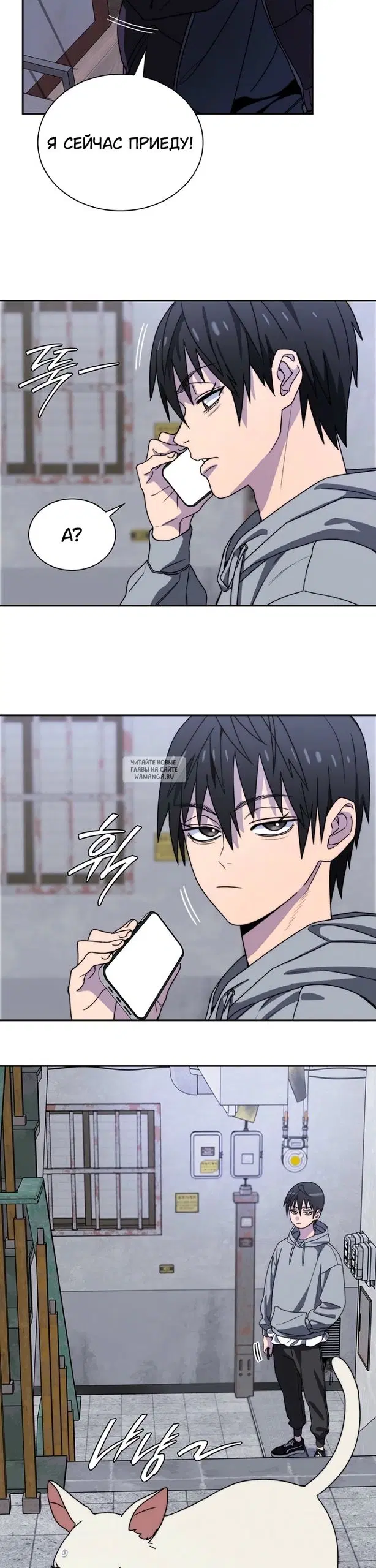 Page 5.000
