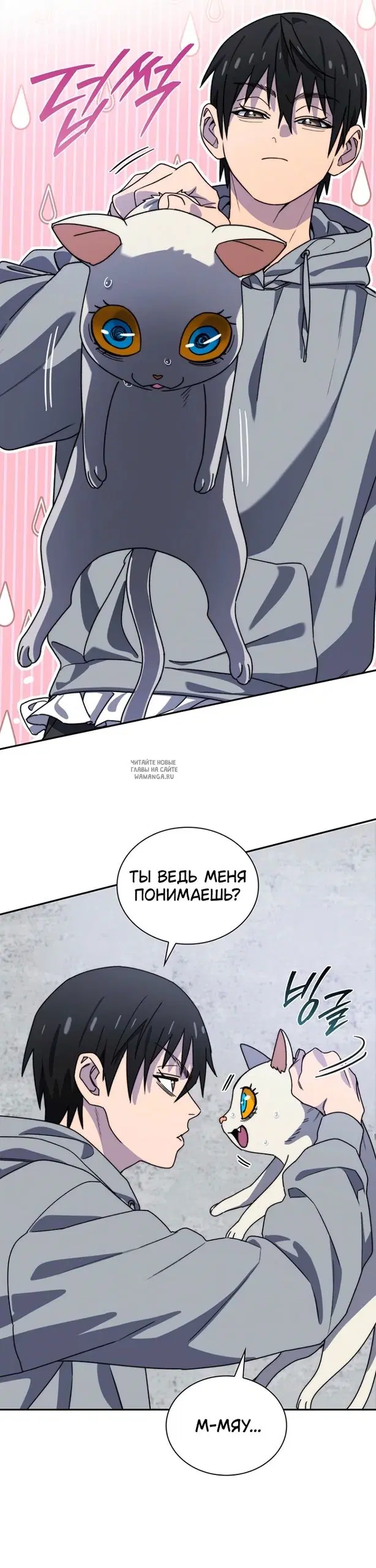 Page 7.000