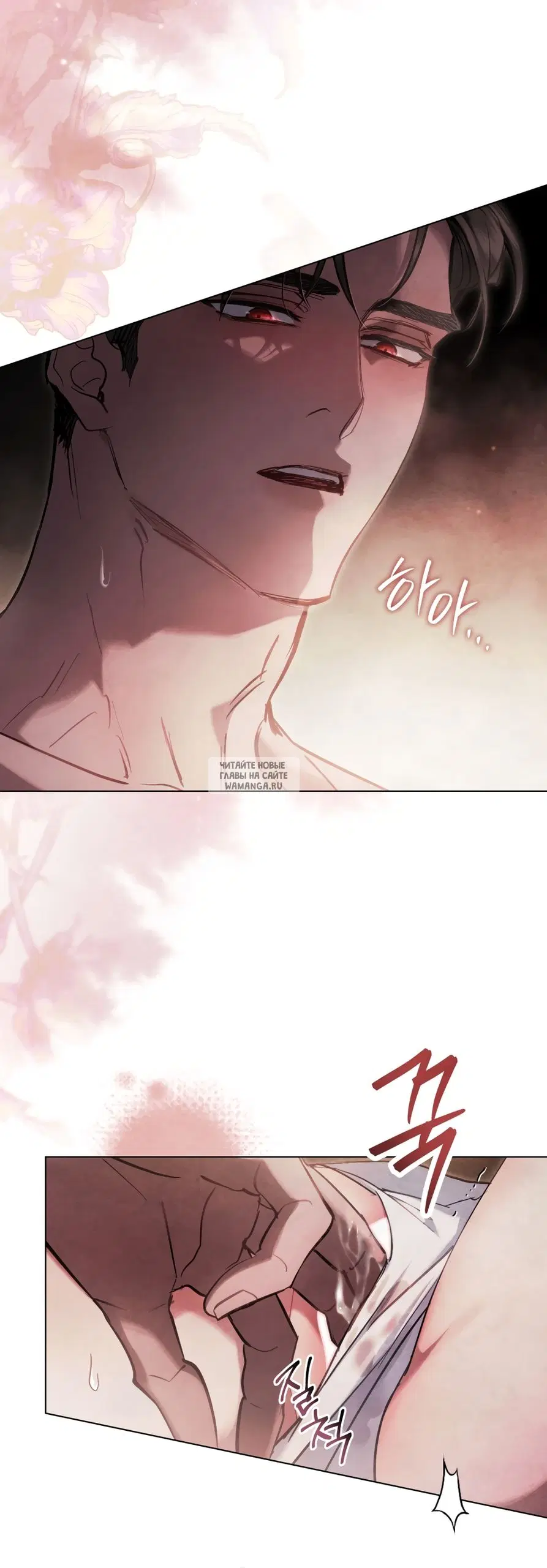 Page 41.000